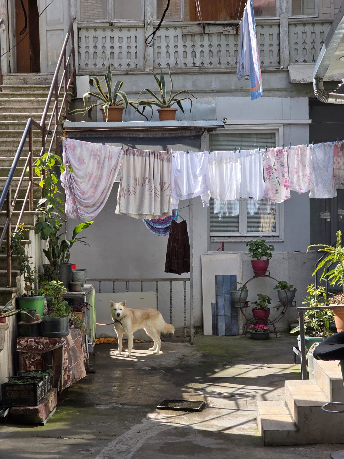 Тбилиси станет ближе